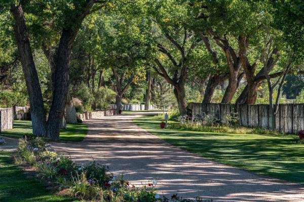 Santa Fe rentals near Canyon Road Santa Fe rentals near Canyon Road