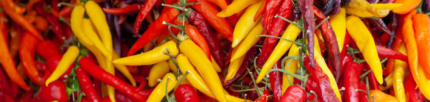 Hanging peppers